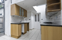 Dolydd kitchen extension leads